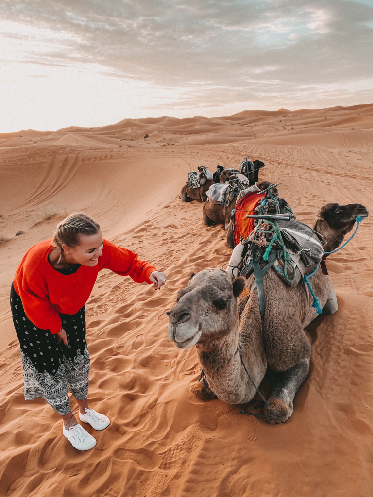 Traveldiary – Mädelstrip nach Marokko, in die Wüste Merzouga, Teil 1